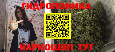 PSILOCYBIN Малгобек